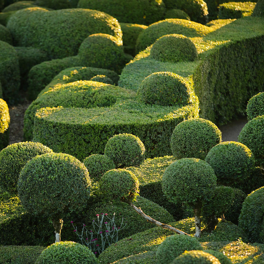 Location & access Marqueyssac gardens in Perigord Dordogne France